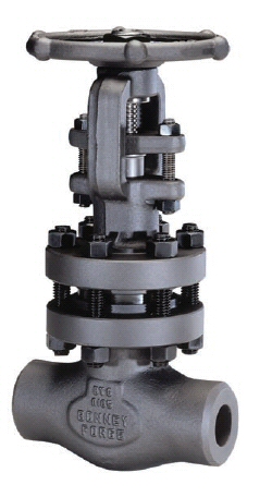 BONNEY FORGE Gate Valves